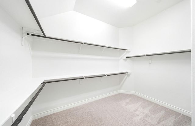 38642 Night Brood Court, Magnolia, TX 77354