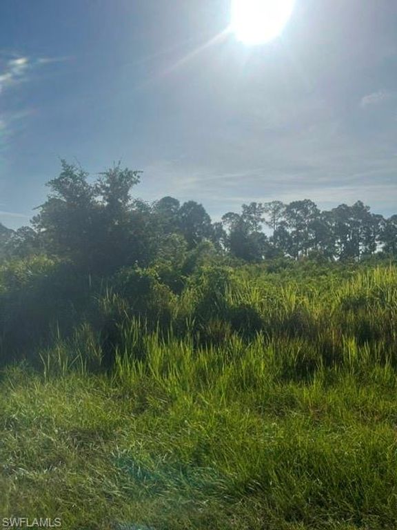 819 Anaconda AVE S, LEHIGH ACRES, FL 33974 — photo 2