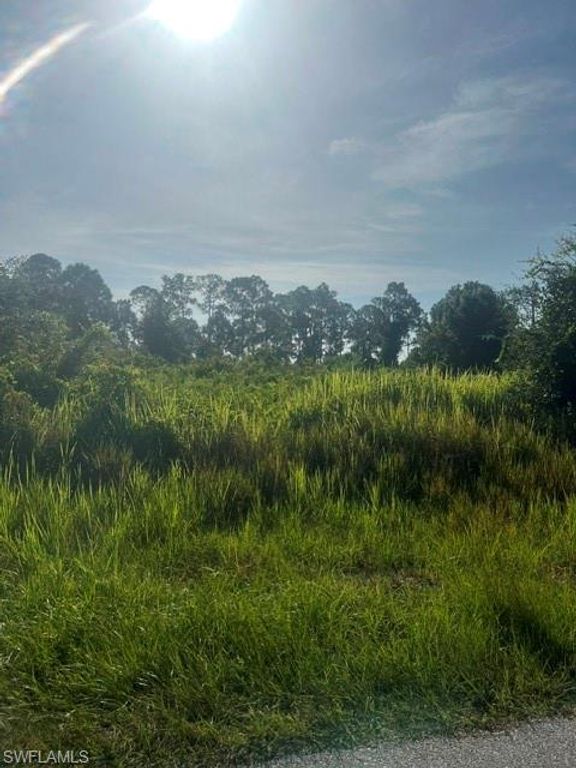 819 Anaconda AVE S, LEHIGH ACRES, FL 33974 — photo 3