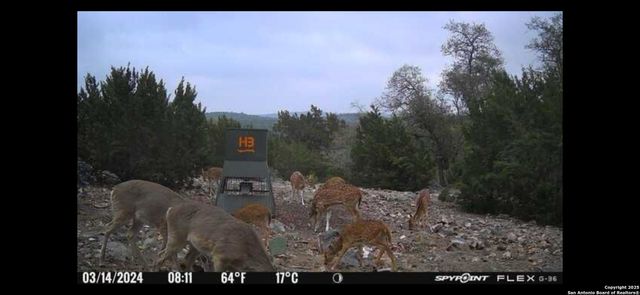 58 SD 43010, Rocksprings, TX 78880