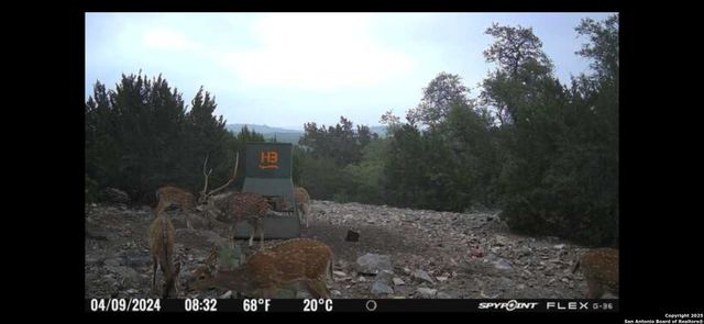 58 SD 43010, Rocksprings, TX 78880