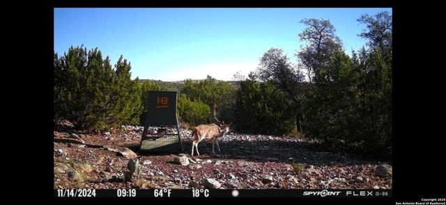 58 SD 43010, Rocksprings, TX 78880