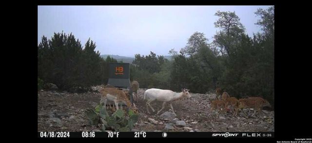 58 SD 43010, Rocksprings, TX 78880