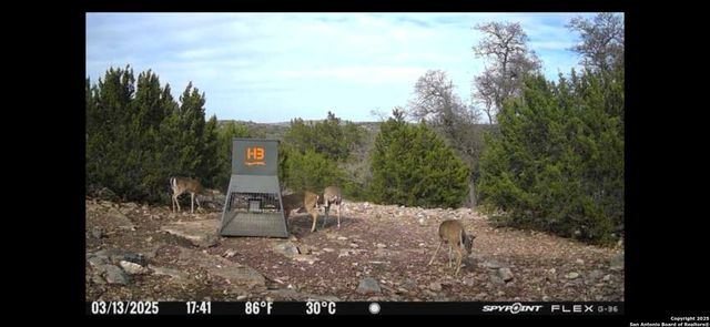 58 SD 43010, Rocksprings, TX 78880