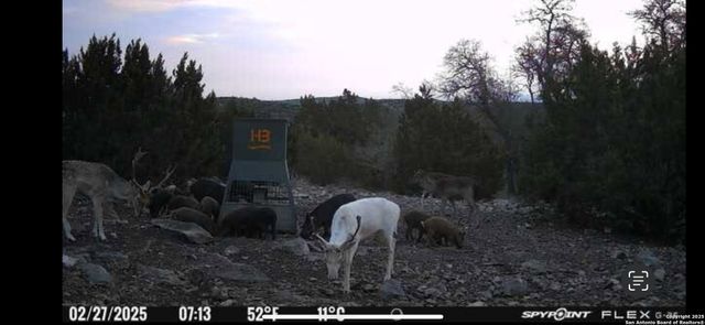 58 SD 43010, Rocksprings, TX 78880