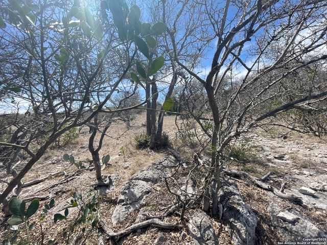 58 SD 43010, Rocksprings, TX 78880