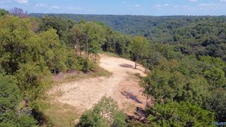 4.63 acres Lee Street, Guntersville, AL 35976
