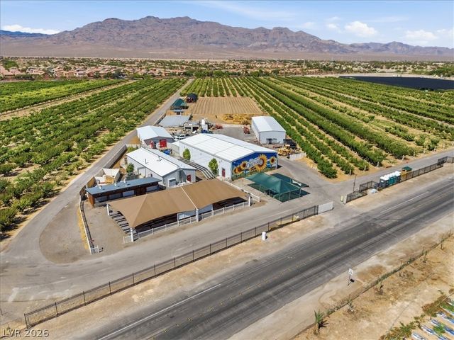 7260 Abundant Harvest Avenue, Las Vegas, NV 89131