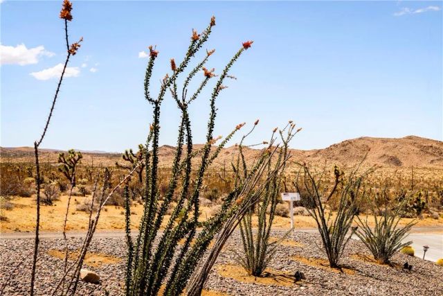 6715 Torres, Joshua Tree, CA 92252