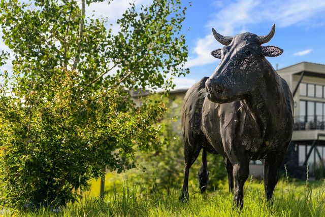 Lot 289 Black Bull Trail, Bozeman, MT 59718