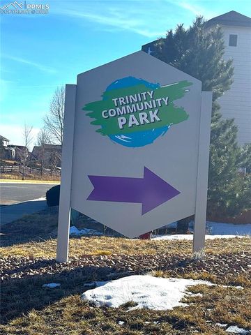 1231 Villa Grove, Monument, CO 80132