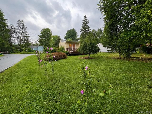 29 Madison Avenue, Hyde Park, NY 12538