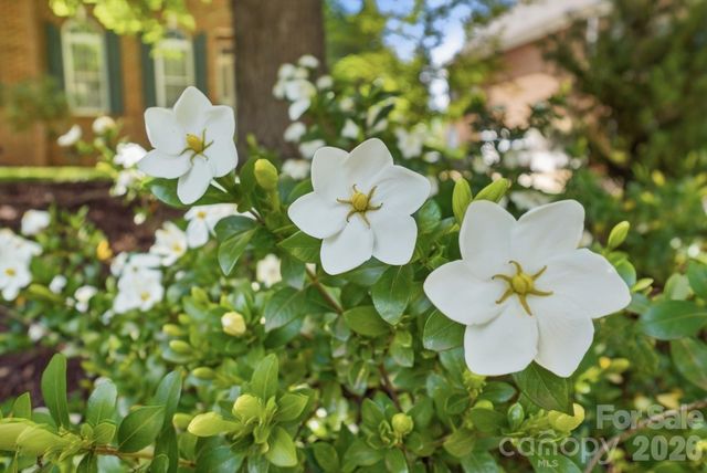 7126 Weddington Brook Drive, Matthews, NC 28104