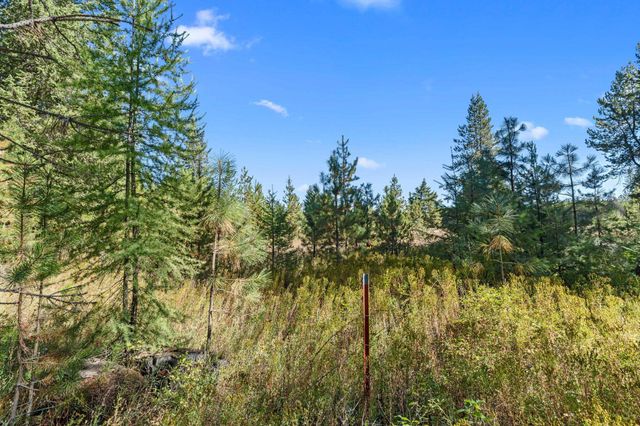 NKA Pines Rd, Newport, WA 99156