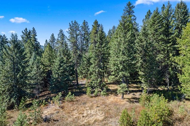 NKA Pines Rd, Newport, WA 99156