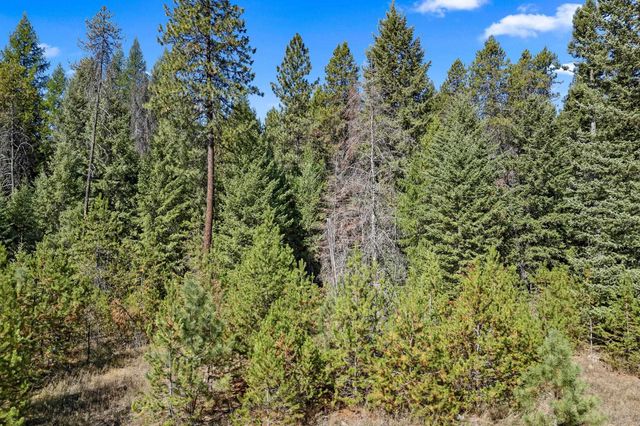 NKA Pines Rd, Newport, WA 99156