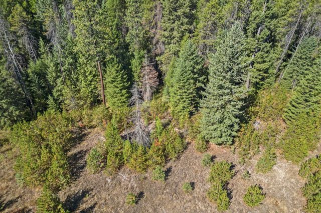 NKA Pines Rd, Newport, WA 99156