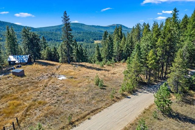 NKA Pines Rd, Newport, WA 99156