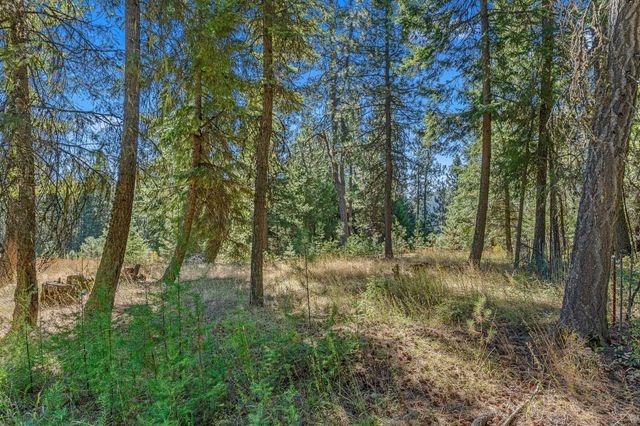 NKA Pines Rd, Newport, WA 99156