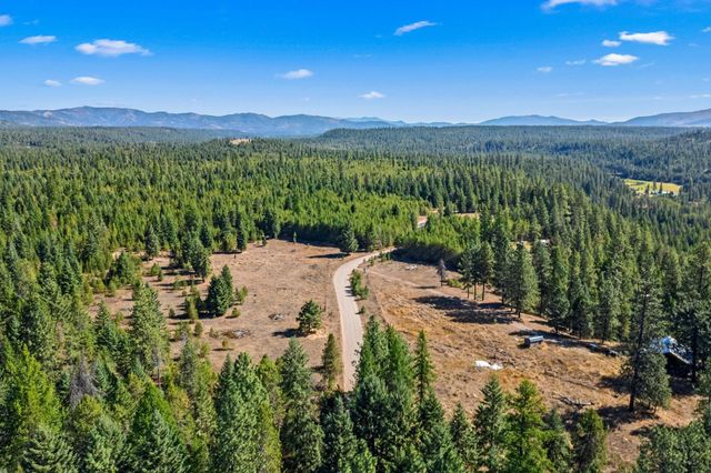 NKA Pines Rd, Newport, WA 99156