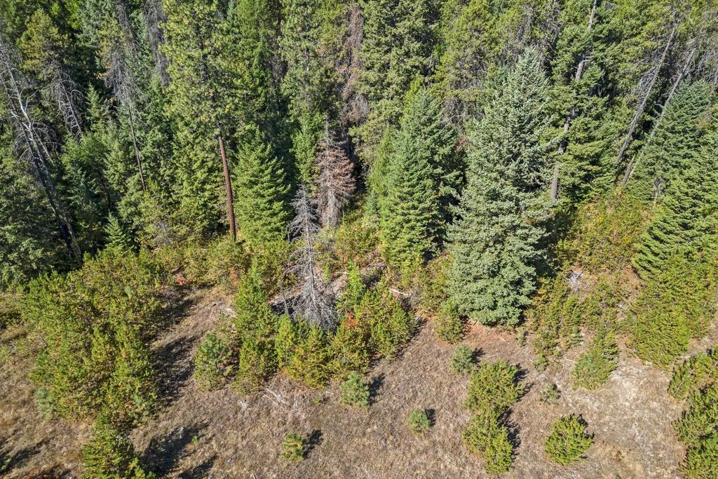 NKA Pines Rd, Newport, WA 99156 photo 15