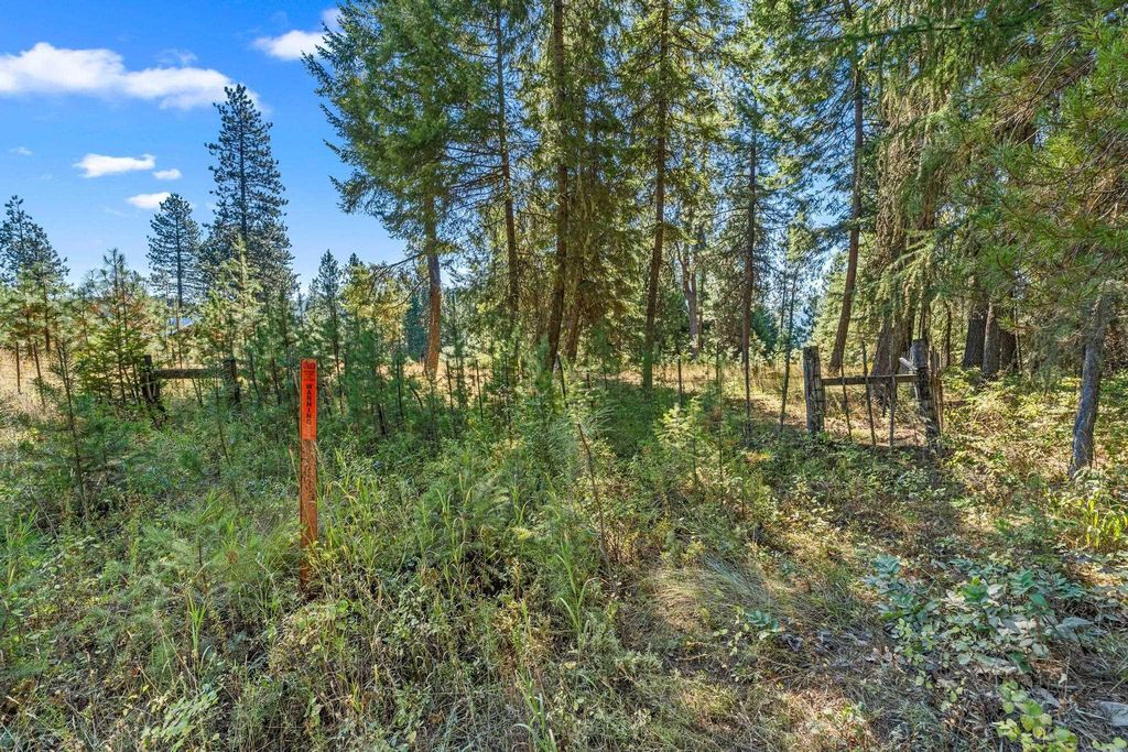 NKA Pines Rd, Newport, WA 99156 photo 16