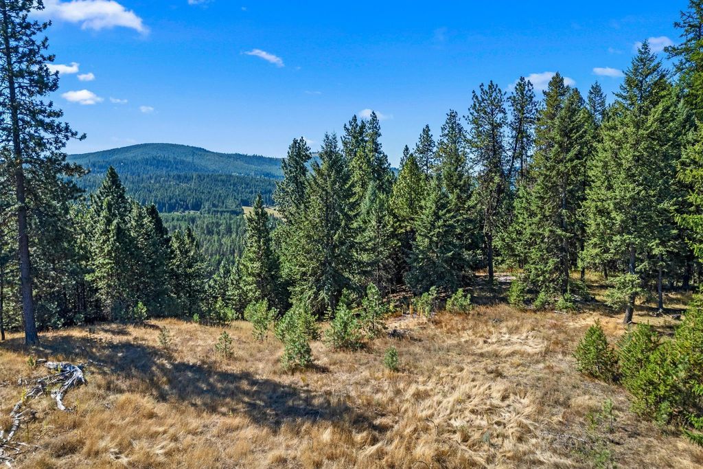 NKA Pines Rd, Newport, WA 99156 photo 3