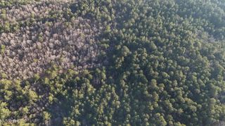 Hwy 413, Kilmichael, MS 39747