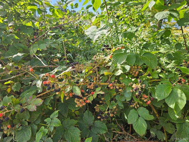 217 Mulock Street, Ontonagon, MI 49953