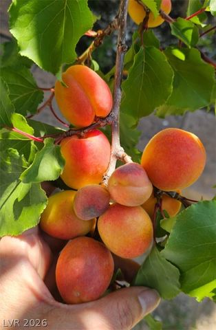 6315 North Grand Canyon Drive, Las Vegas, NV 89149