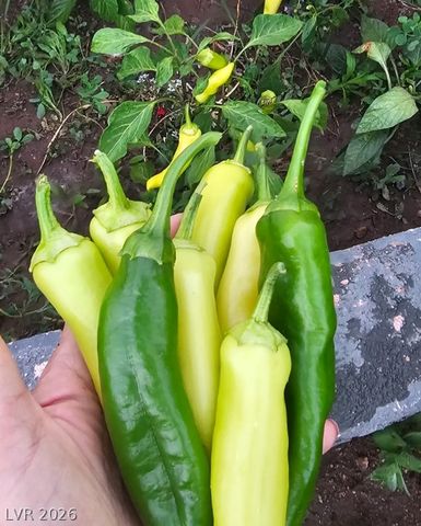 6315 North Grand Canyon Drive, Las Vegas, NV 89149