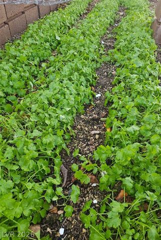 6315 North Grand Canyon Drive, Las Vegas, NV 89149