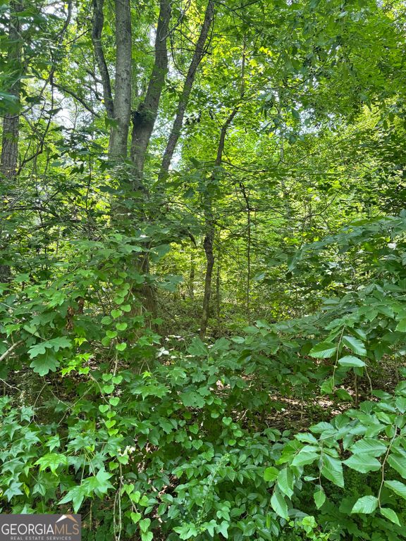 1469 Lakeside Trail, Martin, GA 30557 — photo 2