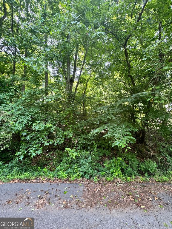1469 Lakeside Trail, Martin, GA 30557 — photo 4