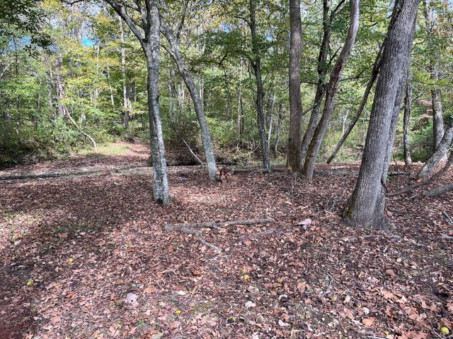 2748 Damron Creek Road, Russell Springs, KY 42642