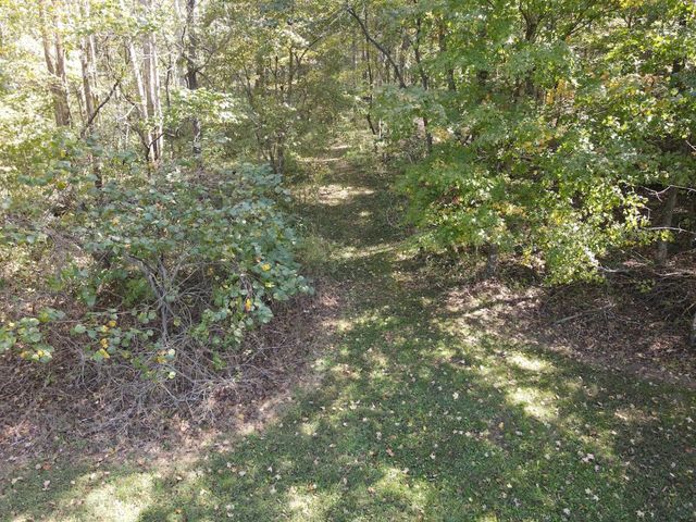 2748 Damron Creek Road, Russell Springs, KY 42642