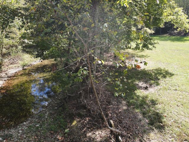 2748 Damron Creek Road, Russell Springs, KY 42642