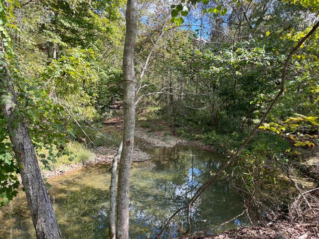 2748 Damron Creek Road, Russell Springs, KY 42642