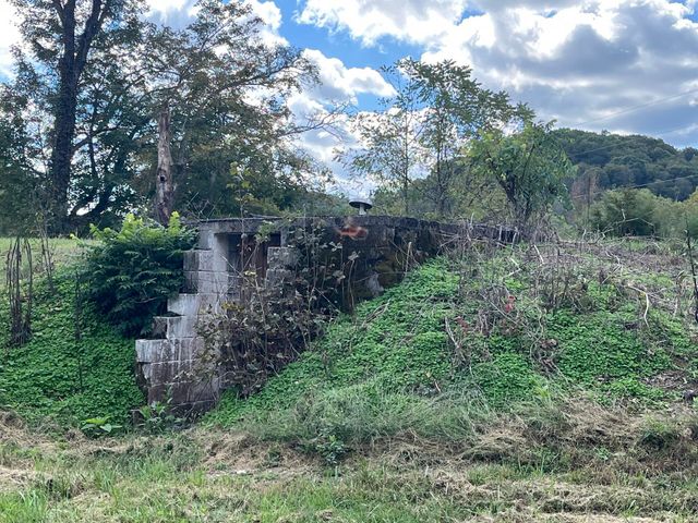 2748 Damron Creek Road, Russell Springs, KY 42642