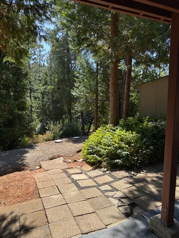 24701 Sunrise Pl, Pioneer, CA 95666