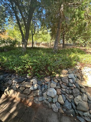 24701 Sunrise Pl, Pioneer, CA 95666