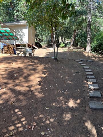 24701 Sunrise Pl, Pioneer, CA 95666