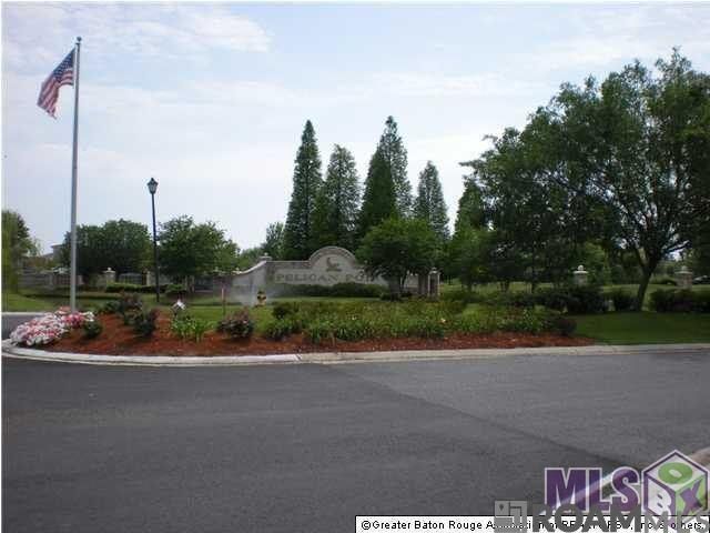 40408 Pelican Point Pkwy, Gonzales, LA 70737