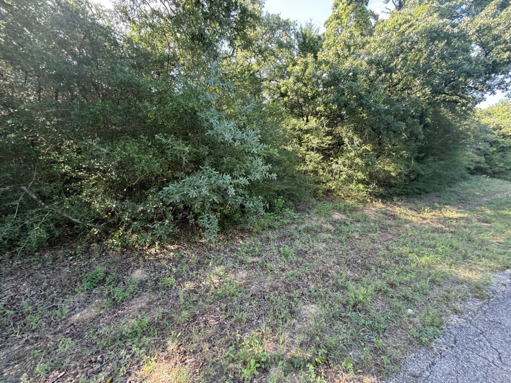TBD Hilltop Drive, Hilltop Lakes, TX 77871 — photo 3