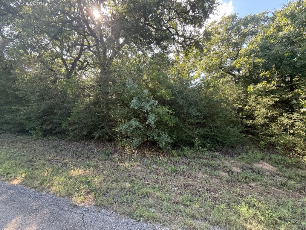 TBD Hilltop Drive, Hilltop Lakes, TX 77871 — photo 4