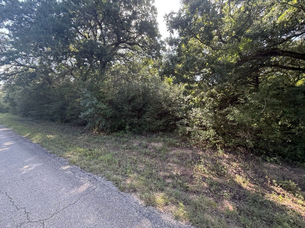 TBD Hilltop Drive, Hilltop Lakes, TX 77871 — photo 5