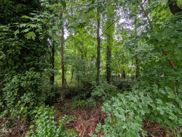 335 Willow Street, Cary, NC 27511