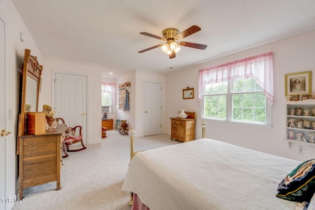 490 Cockatiel Road, Limestone, TN 37681