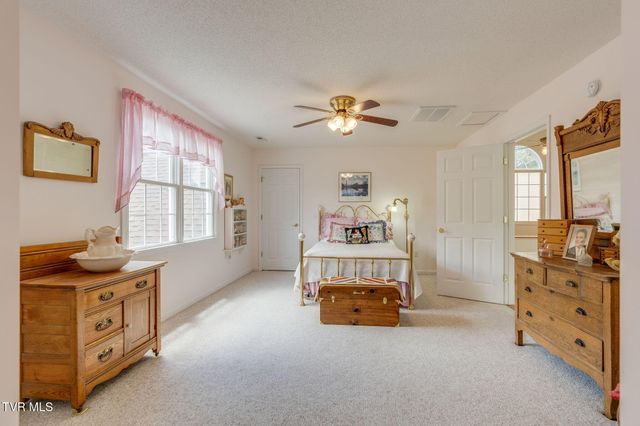 490 Cockatiel Road, Limestone, TN 37681