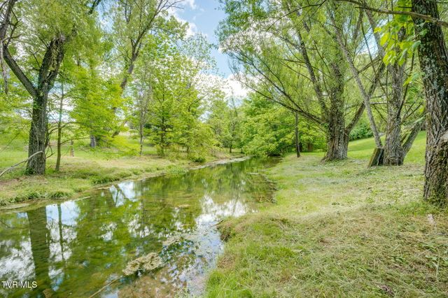 490 Cockatiel Road, Limestone, TN 37681